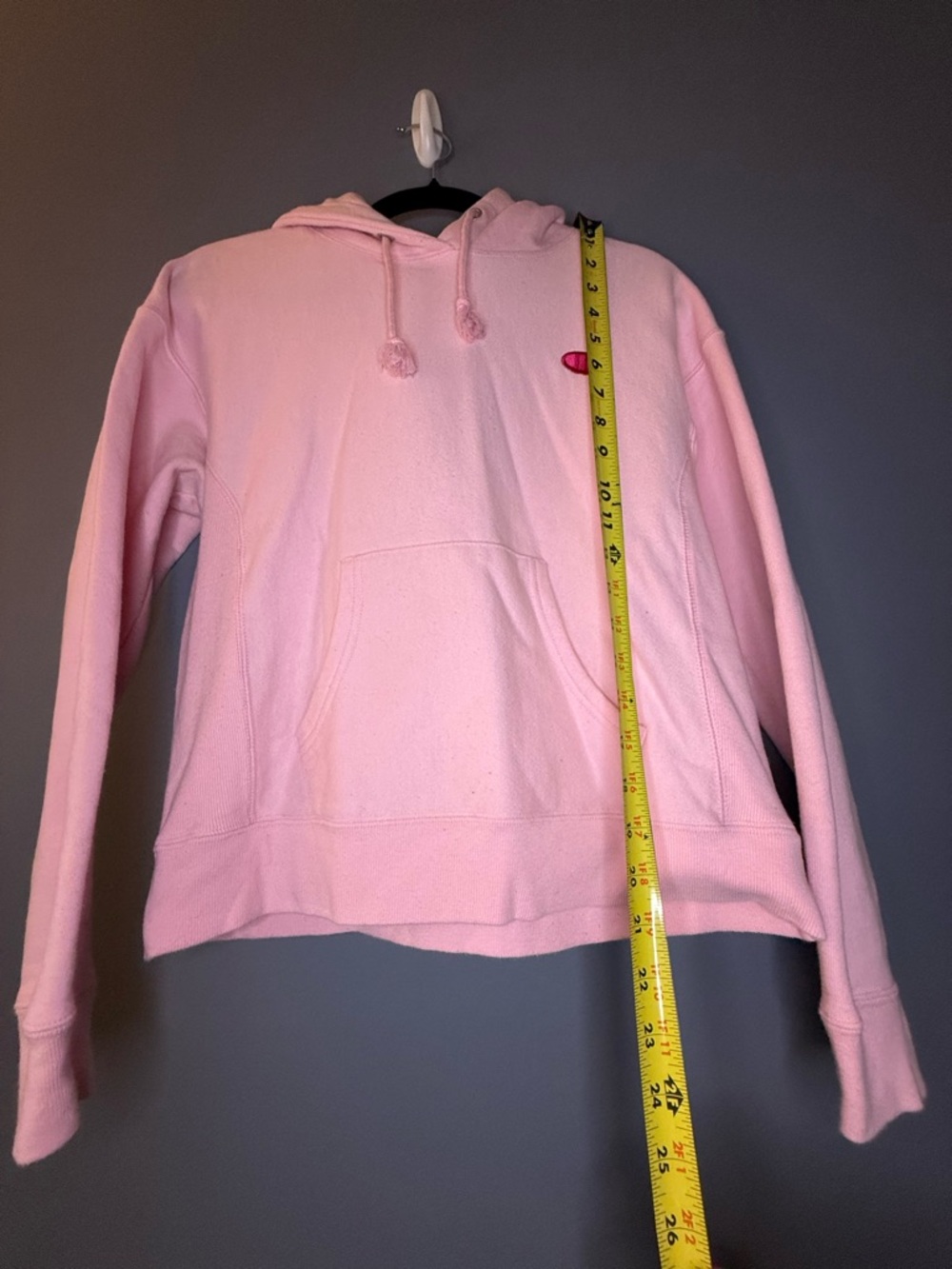 Champion Pink Reverse-Weave Hooded Sweatshirt